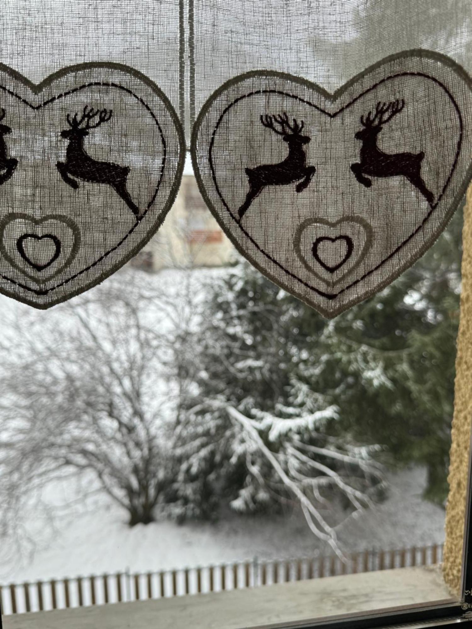 Gina'S Home - Appartamento Nel Cuore Di Bardonecchia Dış mekan fotoğraf